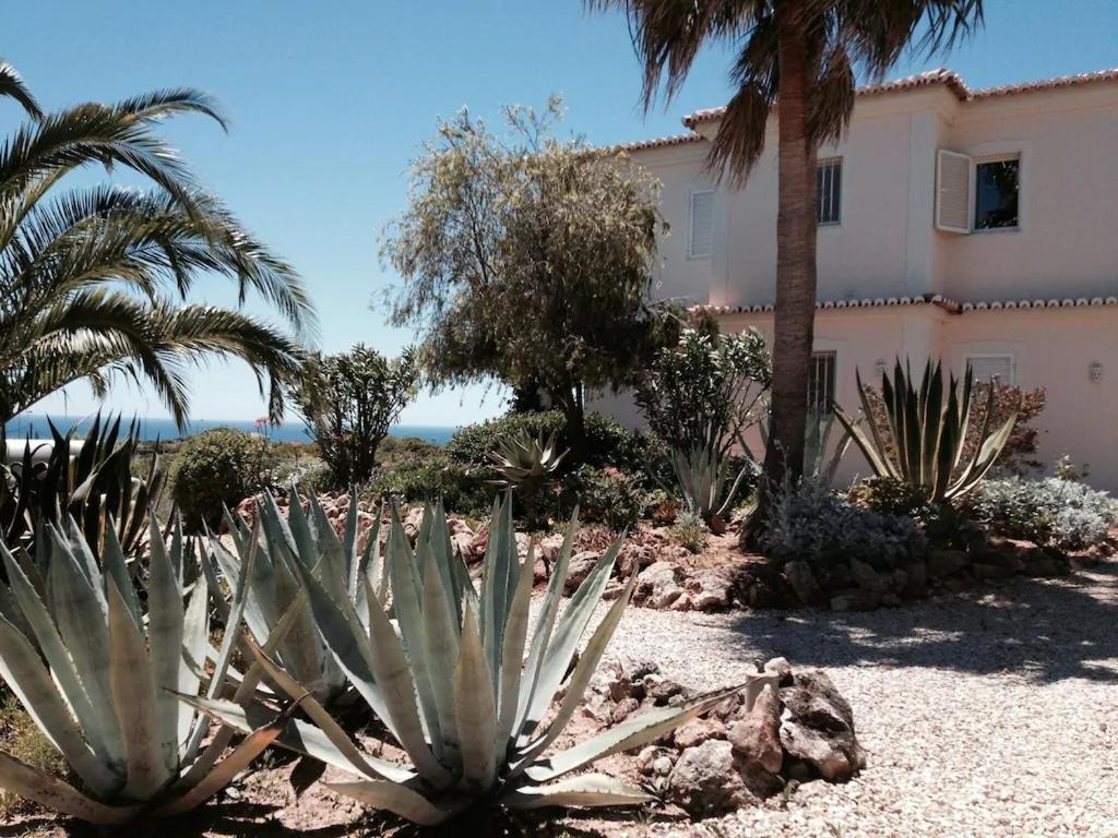 Villa With Beautiful See Views & Spacious Garden Ferragudo  Dış mekan fotoğraf